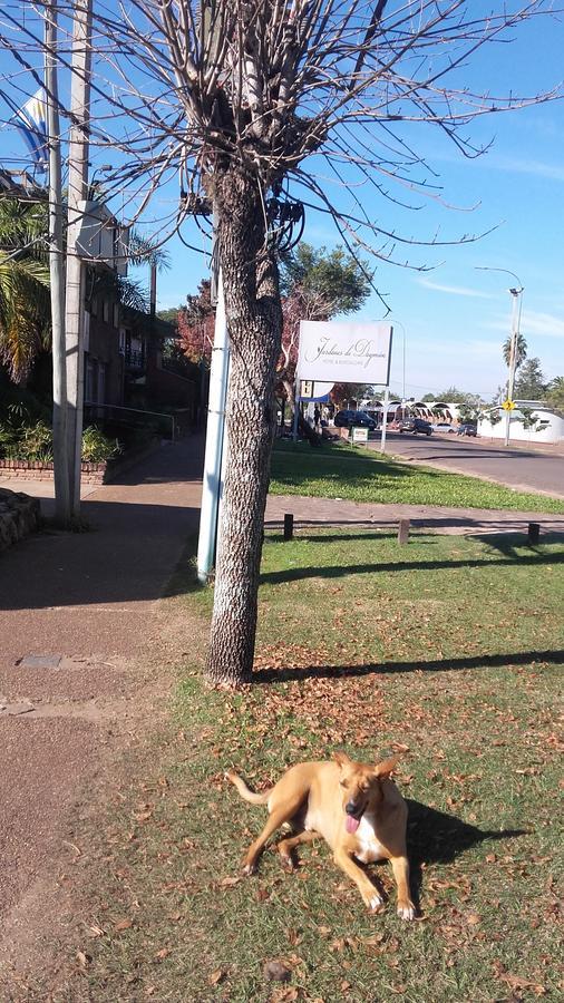 Brisas Del Rio Apart Hotel Termas del Daymán Zewnętrze zdjęcie